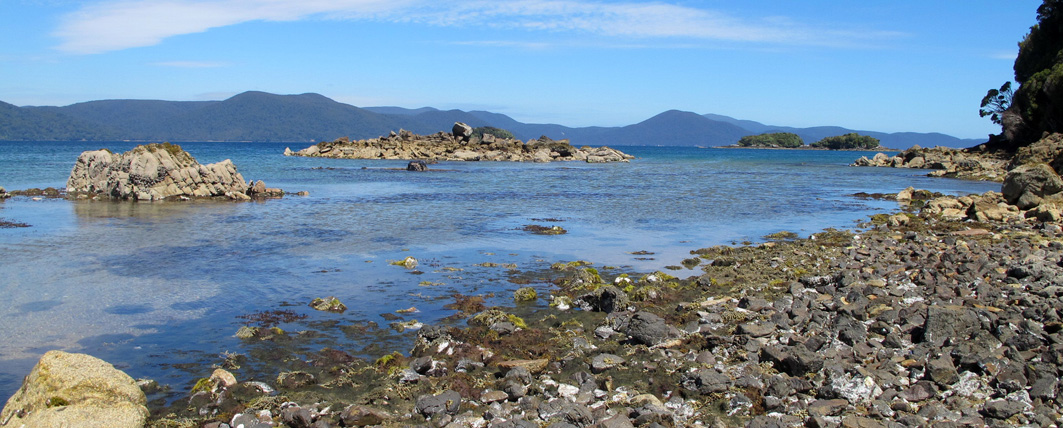 View of Boulder Beach and Paterson Inlet, Stewart Island